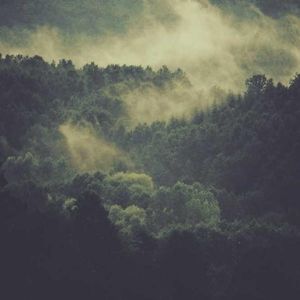 Meet your Posher, Brett